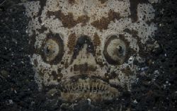 Stargazer,lembeh,nikon d70 by Marco Wannenmacher 